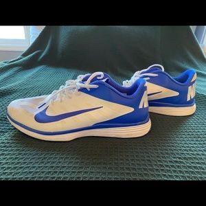 Blue and white Nike Shoes